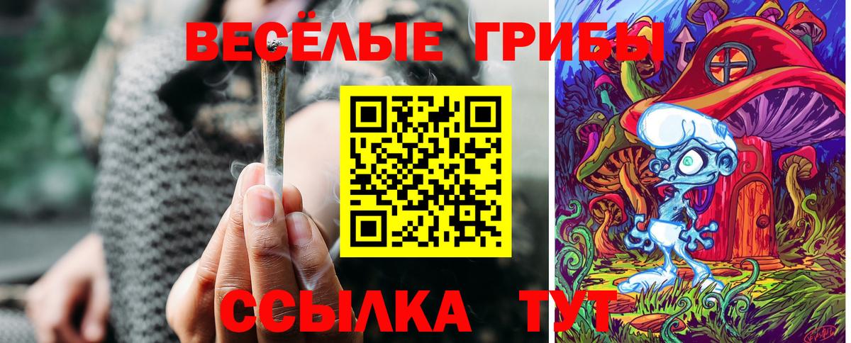 Красноармейск  Галлюциногенные грибы Magic Shrooms  Галлюциногенные грибы Magic Shrooms  Вход с VPN 